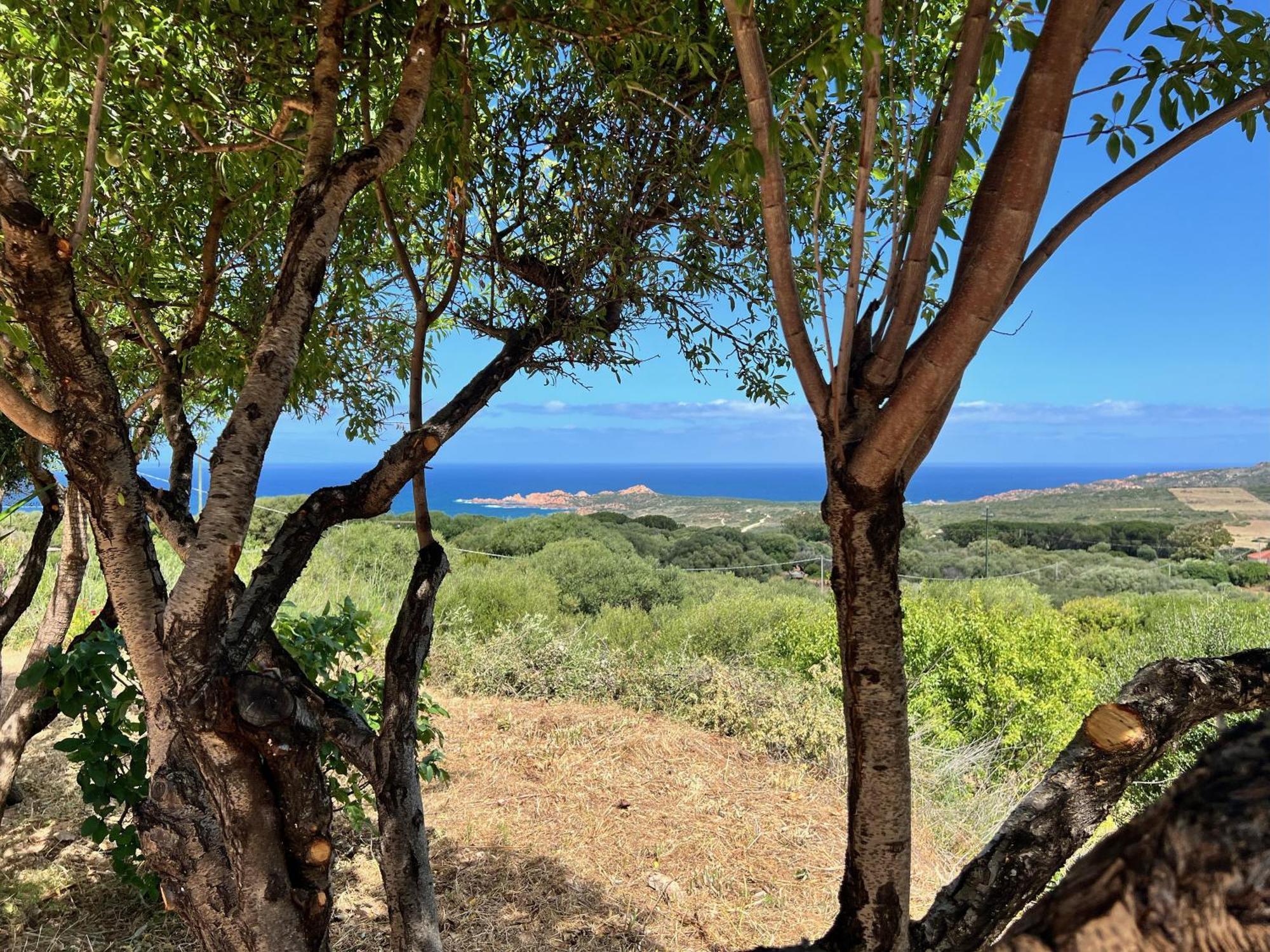 Appartamento Panoramico Isola Rossa Buitenkant foto